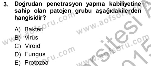 Fitopatoloji Dersi 2014 - 2015 Yılı (Final) Dönem Sonu Sınav Soruları 3. Soru