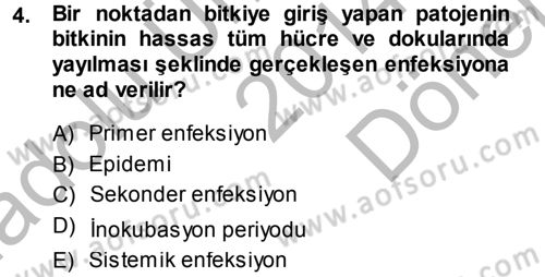 Fitopatoloji Dersi 2014 - 2015 Yılı (Final) Dönem Sonu Sınav Soruları 4. Soru