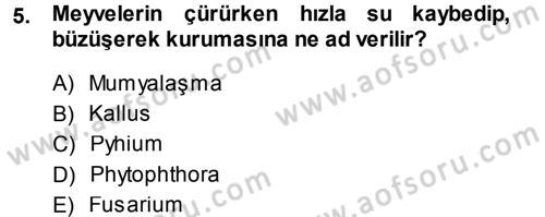 Fitopatoloji Dersi 2014 - 2015 Yılı (Final) Dönem Sonu Sınav Soruları 5. Soru