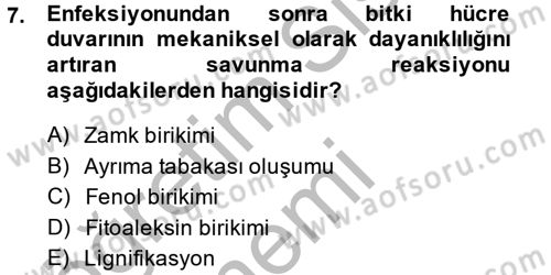Fitopatoloji Dersi 2014 - 2015 Yılı (Final) Dönem Sonu Sınav Soruları 7. Soru