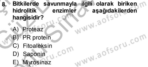 Fitopatoloji Dersi 2014 - 2015 Yılı (Final) Dönem Sonu Sınav Soruları 8. Soru