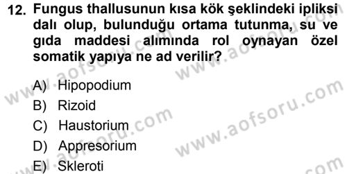 Fitopatoloji Dersi 2014 - 2015 Yılı Tek Ders Sınav Soruları 12. Soru