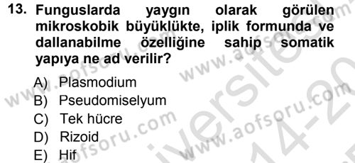 Fitopatoloji Dersi 2014 - 2015 Yılı Tek Ders Sınav Soruları 13. Soru
