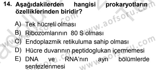 Fitopatoloji Dersi 2014 - 2015 Yılı Tek Ders Sınavı 14. Soru