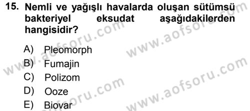 Fitopatoloji Dersi 2014 - 2015 Yılı Tek Ders Sınav Soruları 15. Soru