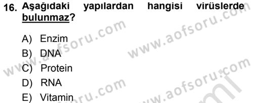 Fitopatoloji Dersi 2014 - 2015 Yılı Tek Ders Sınav Soruları 16. Soru