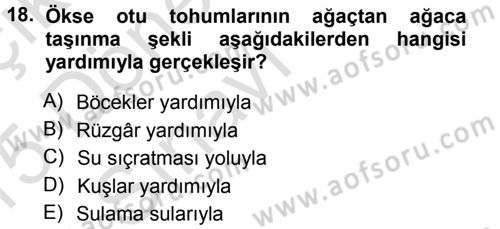 Fitopatoloji Dersi 2014 - 2015 Yılı Tek Ders Sınav Soruları 18. Soru