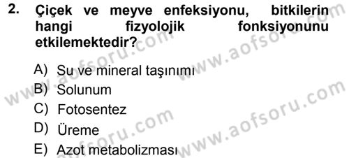 Fitopatoloji Dersi 2014 - 2015 Yılı Tek Ders Sınav Soruları 2. Soru