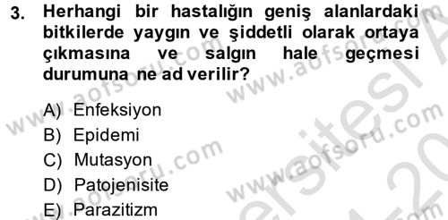 Fitopatoloji Dersi 2014 - 2015 Yılı Tek Ders Sınav Soruları 3. Soru
