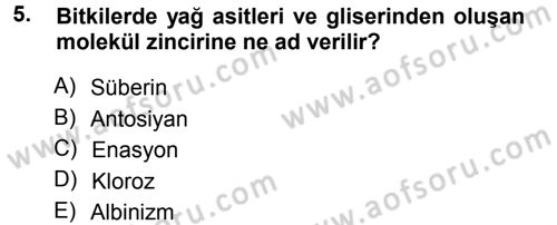 Fitopatoloji Dersi 2014 - 2015 Yılı Tek Ders Sınav Soruları 5. Soru
