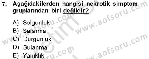 Fitopatoloji Dersi 2014 - 2015 Yılı Tek Ders Sınav Soruları 7. Soru