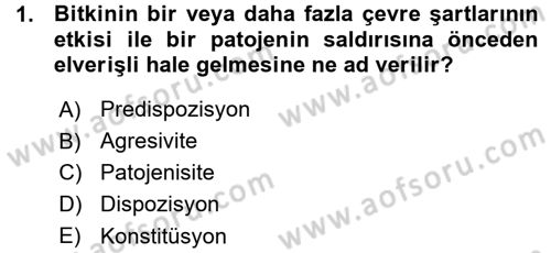 Fitopatoloji Dersi 2015 - 2016 Yılı (Vize) Ara Sınavı 1. Soru