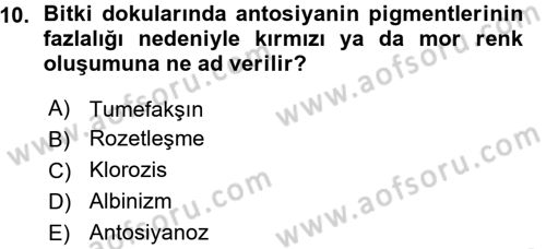 Fitopatoloji Dersi 2015 - 2016 Yılı (Vize) Ara Sınav Soruları 10. Soru