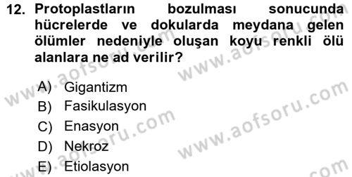 Fitopatoloji Dersi 2015 - 2016 Yılı (Vize) Ara Sınav Soruları 12. Soru