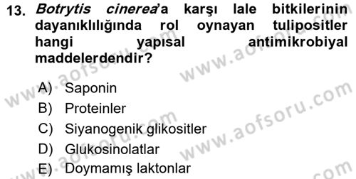 Fitopatoloji Dersi 2015 - 2016 Yılı (Vize) Ara Sınav Soruları 13. Soru