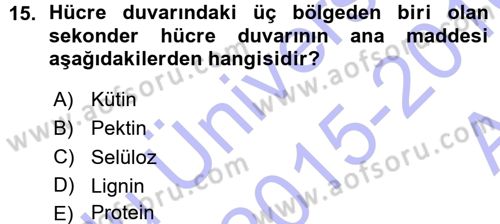 Fitopatoloji Dersi 2015 - 2016 Yılı (Vize) Ara Sınav Soruları 15. Soru