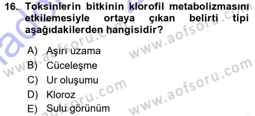 Fitopatoloji Dersi 2015 - 2016 Yılı (Vize) Ara Sınav Soruları 16. Soru