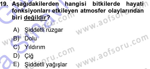 Fitopatoloji Dersi 2015 - 2016 Yılı (Vize) Ara Sınav Soruları 19. Soru