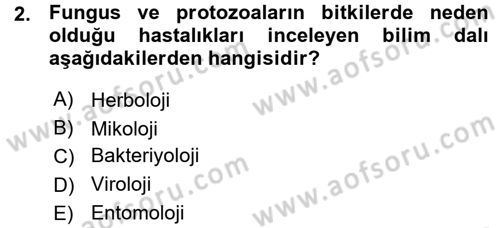 Fitopatoloji Dersi 2015 - 2016 Yılı (Vize) Ara Sınav Soruları 2. Soru