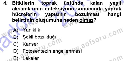 Fitopatoloji Dersi 2015 - 2016 Yılı (Vize) Ara Sınav Soruları 4. Soru