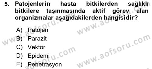 Fitopatoloji Dersi 2015 - 2016 Yılı (Vize) Ara Sınav Soruları 5. Soru