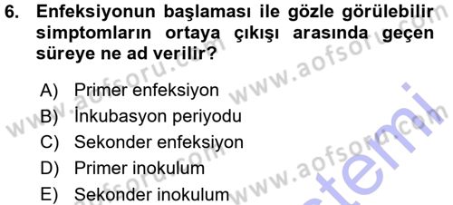 Fitopatoloji Dersi 2015 - 2016 Yılı (Vize) Ara Sınavı 6. Soru