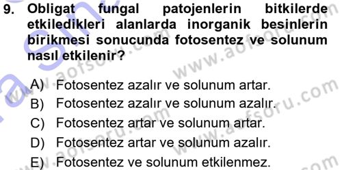 Fitopatoloji Dersi 2015 - 2016 Yılı (Vize) Ara Sınav Soruları 9. Soru