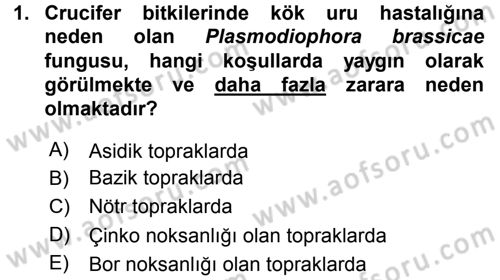 Fitopatoloji Dersi 2015 - 2016 Yılı (Final) Dönem Sonu Sınav Soruları 1. Soru