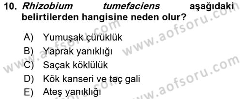 Fitopatoloji Dersi 2015 - 2016 Yılı (Final) Dönem Sonu Sınav Soruları 10. Soru