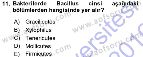 Fitopatoloji Dersi 2015 - 2016 Yılı (Final) Dönem Sonu Sınav Soruları 11. Soru
