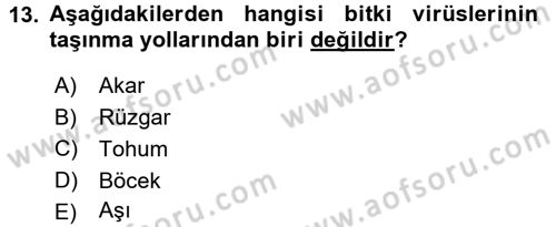 Fitopatoloji Dersi 2015 - 2016 Yılı (Final) Dönem Sonu Sınav Soruları 13. Soru