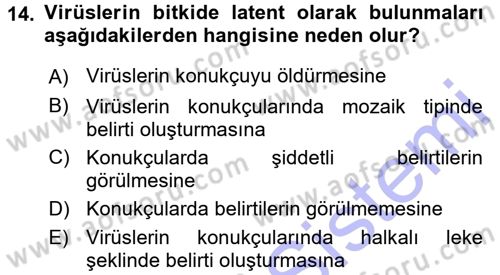 Fitopatoloji Dersi 2015 - 2016 Yılı (Final) Dönem Sonu Sınav Soruları 14. Soru