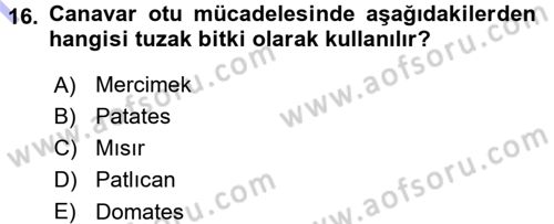Fitopatoloji Dersi 2015 - 2016 Yılı (Final) Dönem Sonu Sınav Soruları 16. Soru