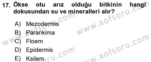Fitopatoloji Dersi 2015 - 2016 Yılı (Final) Dönem Sonu Sınav Soruları 17. Soru