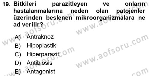 Fitopatoloji Dersi 2015 - 2016 Yılı (Final) Dönem Sonu Sınav Soruları 19. Soru