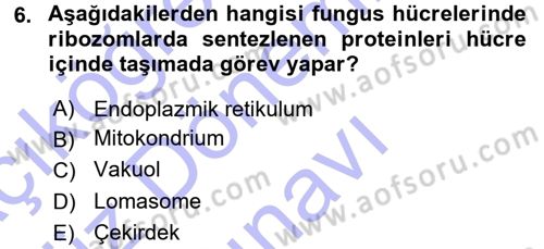 Fitopatoloji Dersi 2015 - 2016 Yılı (Final) Dönem Sonu Sınav Soruları 6. Soru
