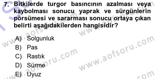 Fitopatoloji Dersi 2015 - 2016 Yılı (Final) Dönem Sonu Sınav Soruları 7. Soru