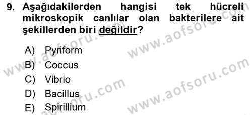 Fitopatoloji Dersi 2015 - 2016 Yılı (Final) Dönem Sonu Sınav Soruları 9. Soru