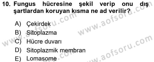 Fitopatoloji Dersi 2015 - 2016 Yılı Tek Ders Sınav Soruları 10. Soru
