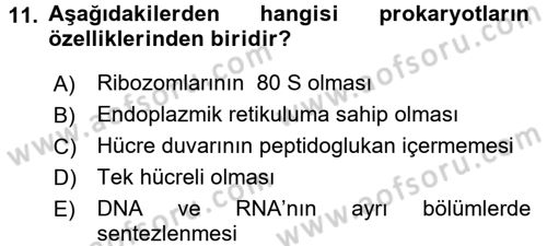 Fitopatoloji Dersi 2015 - 2016 Yılı Tek Ders Sınav Soruları 11. Soru