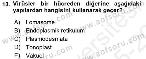 Fitopatoloji Dersi 2015 - 2016 Yılı Tek Ders Sınav Soruları 13. Soru