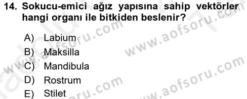 Fitopatoloji Dersi 2015 - 2016 Yılı Tek Ders Sınav Soruları 14. Soru
