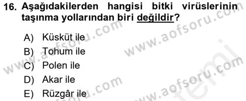 Fitopatoloji Dersi 2015 - 2016 Yılı Tek Ders Sınav Soruları 16. Soru