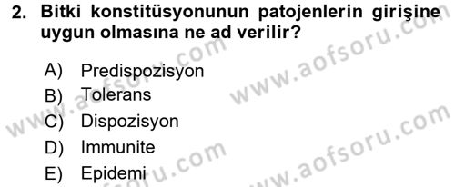 Fitopatoloji Dersi 2015 - 2016 Yılı Tek Ders Sınavı 2. Soru