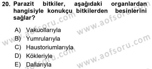 Fitopatoloji Dersi 2015 - 2016 Yılı Tek Ders Sınav Soruları 20. Soru