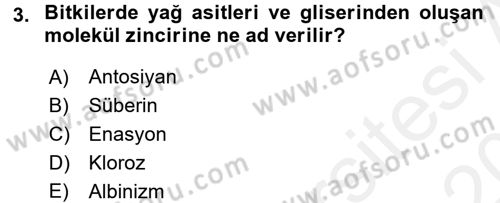 Fitopatoloji Dersi 2015 - 2016 Yılı Tek Ders Sınav Soruları 3. Soru