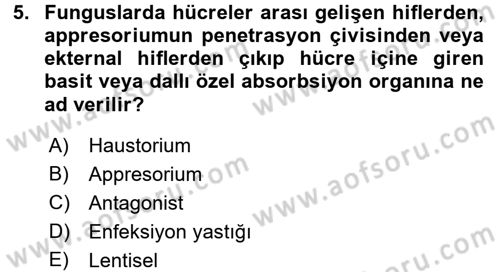 Fitopatoloji Dersi 2015 - 2016 Yılı Tek Ders Sınav Soruları 5. Soru