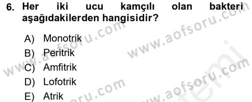 Fitopatoloji Dersi 2015 - 2016 Yılı Tek Ders Sınav Soruları 6. Soru