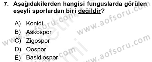 Fitopatoloji Dersi 2015 - 2016 Yılı Tek Ders Sınav Soruları 7. Soru