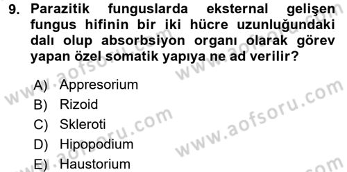 Fitopatoloji Dersi 2015 - 2016 Yılı Tek Ders Sınav Soruları 9. Soru